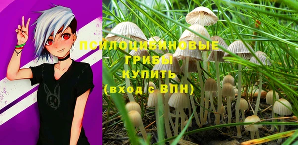 прущие грибы Балабаново