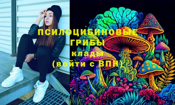 герыч Аркадак