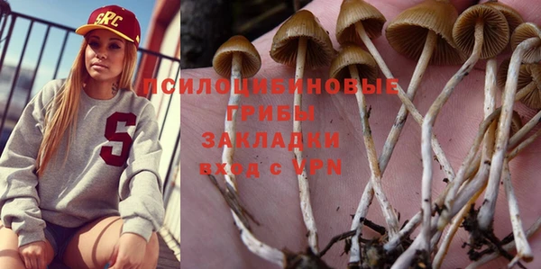мескалин Арсеньев
