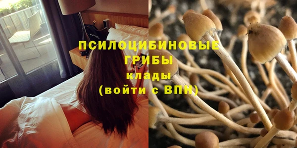 мескалин Арсеньев