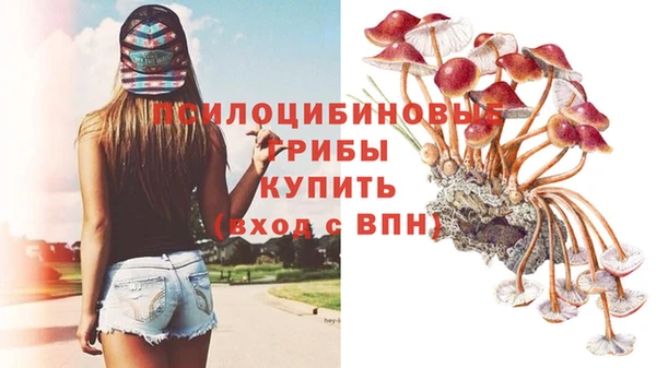 мескалин Арсеньев