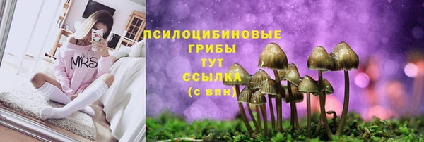 мескалин Арсеньев